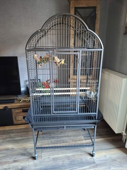 Mooie prachtige grote parkieten, papegaaienkooi type 2732