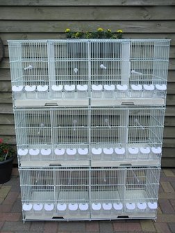 Good quality breeding cages / breeding cages / buy barred cages?