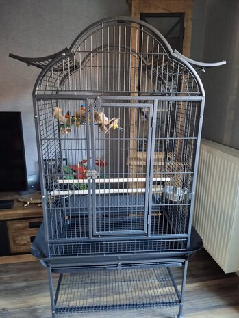Mooie prachtige grote parkieten, papegaaienkooi type 2732