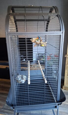Mooie prachtige grote parkieten, papegaaienkooi type 2732