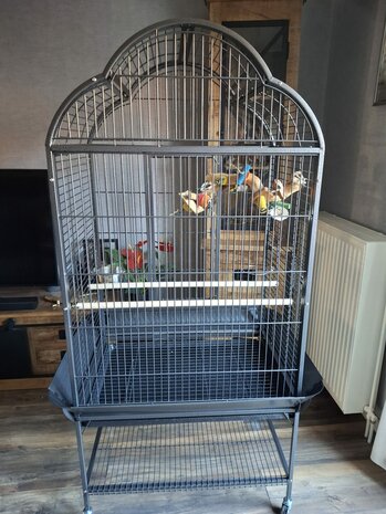 Mooie prachtige grote parkieten, papegaaienkooi type 2732