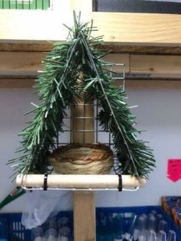 Natuurlijk Broednest voor sijzen