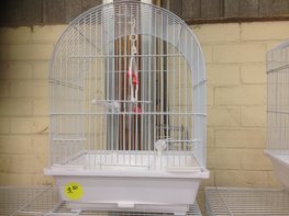 Nieuwe-goedkope,-complete-Vogelkooitjes-met-ronde bovenkant kopen