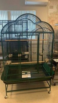 Mooie prachtige grote parkieten, papegaaienkooi type 2740