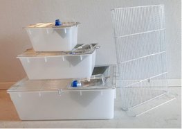 Mooie nieuwe laboratoriumbakken, labbakken of makrolonbakken incl waterfles en tussenschot type 2