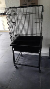 Prachtige Papagaaien kooi op Traley