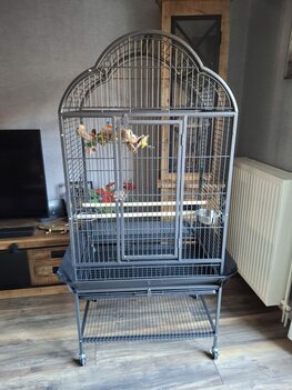 Mooie prachtige grote parkieten, papegaaienkooi type 2732